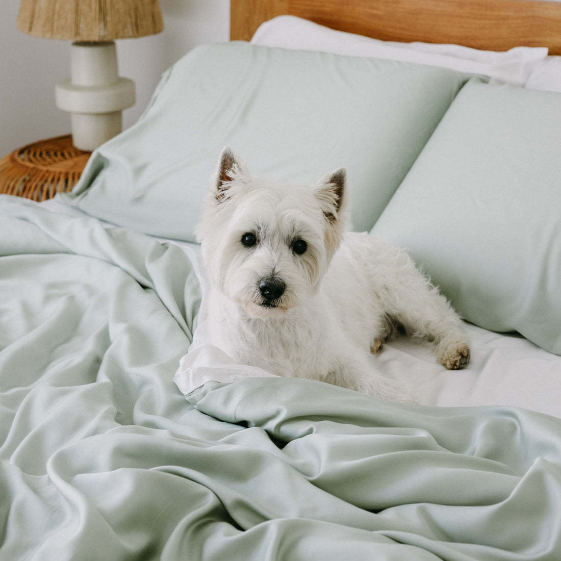 Bequemes Luxus-Satin 100% Bambus Bettbezug und Bettlaken Set