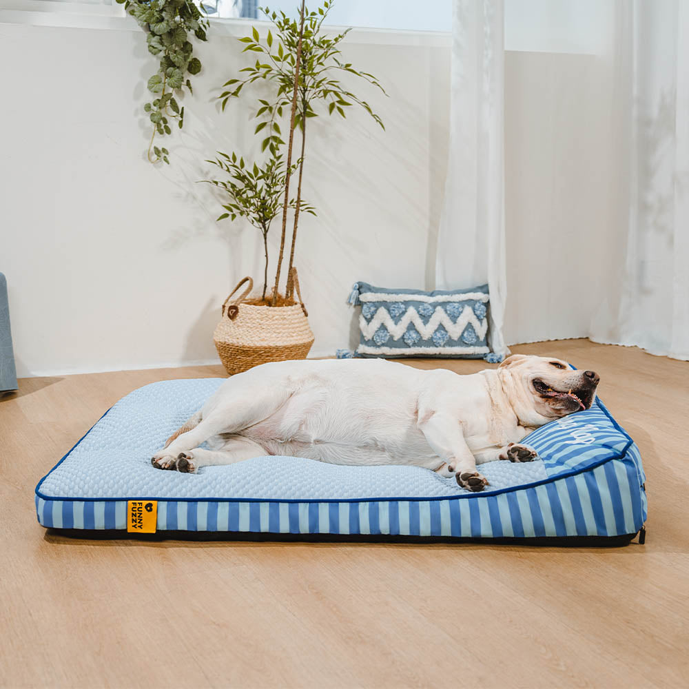 Extra großes kühlendes waschbares rechteckiges orthopädisches Hundebett - kühlendes Nickerchen