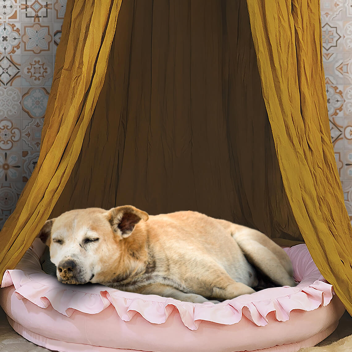 Stilvolles Weiches Gemütliches Hundezelt Hunde-Tipi