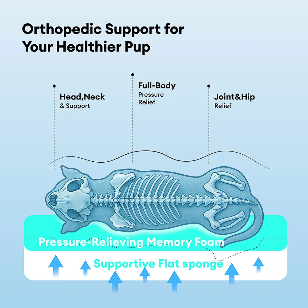 Kühlendes orthopädisches Hundebett für die Hundebox