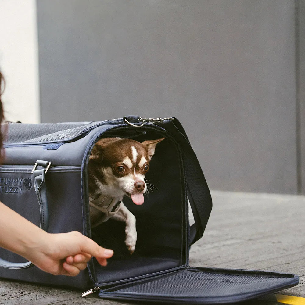 Katze Airline-konforme weiche Trageboxen - Urbanes Herumwandern
