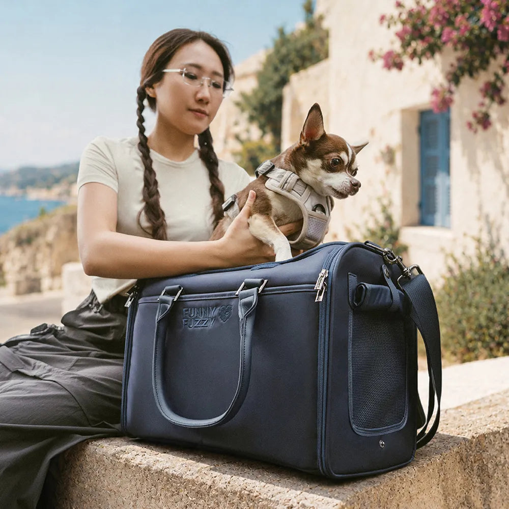 Katze Airline-konforme weiche Trageboxen - Urbanes Herumwandern