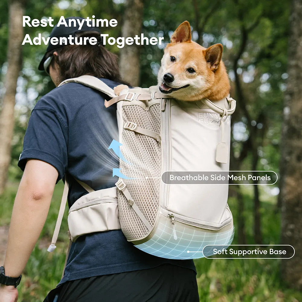 Hundetransport-Rucksack - Urbanes Herumstreifen