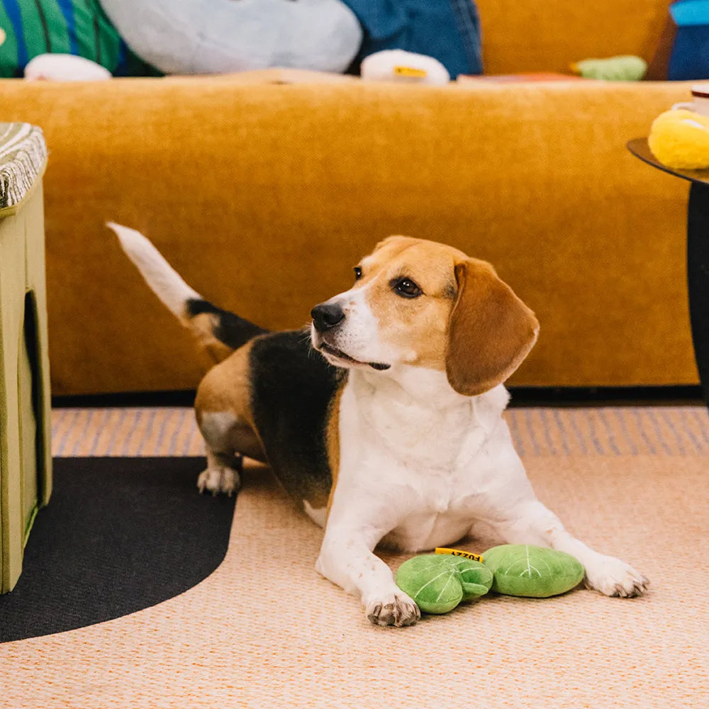 Plüsch Blattförmiges Quietschespielzeug für Hunde - Funnyfuzzy SnugNest