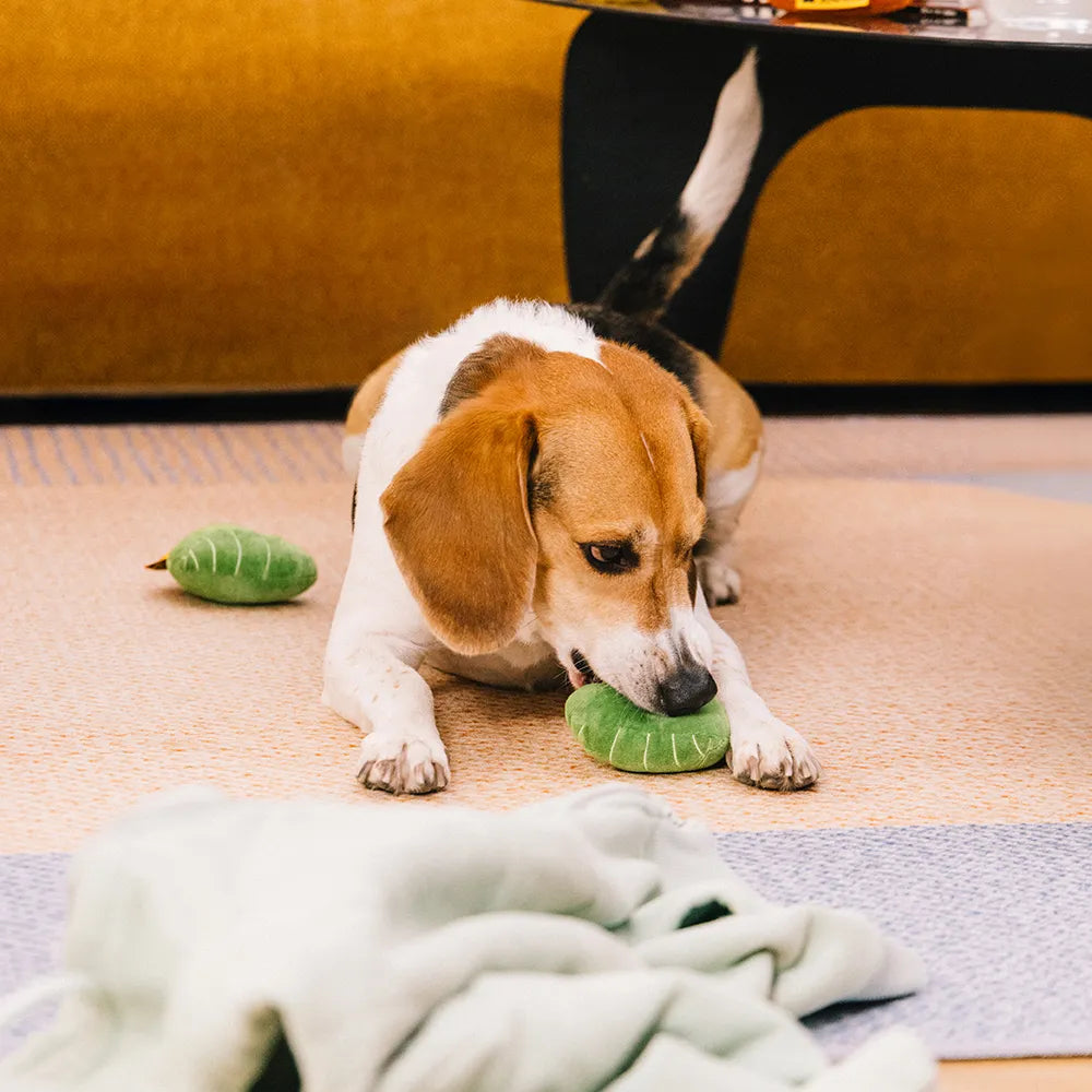 Plüsch Blattförmiges Quietschespielzeug für Hunde - Funnyfuzzy SnugNest