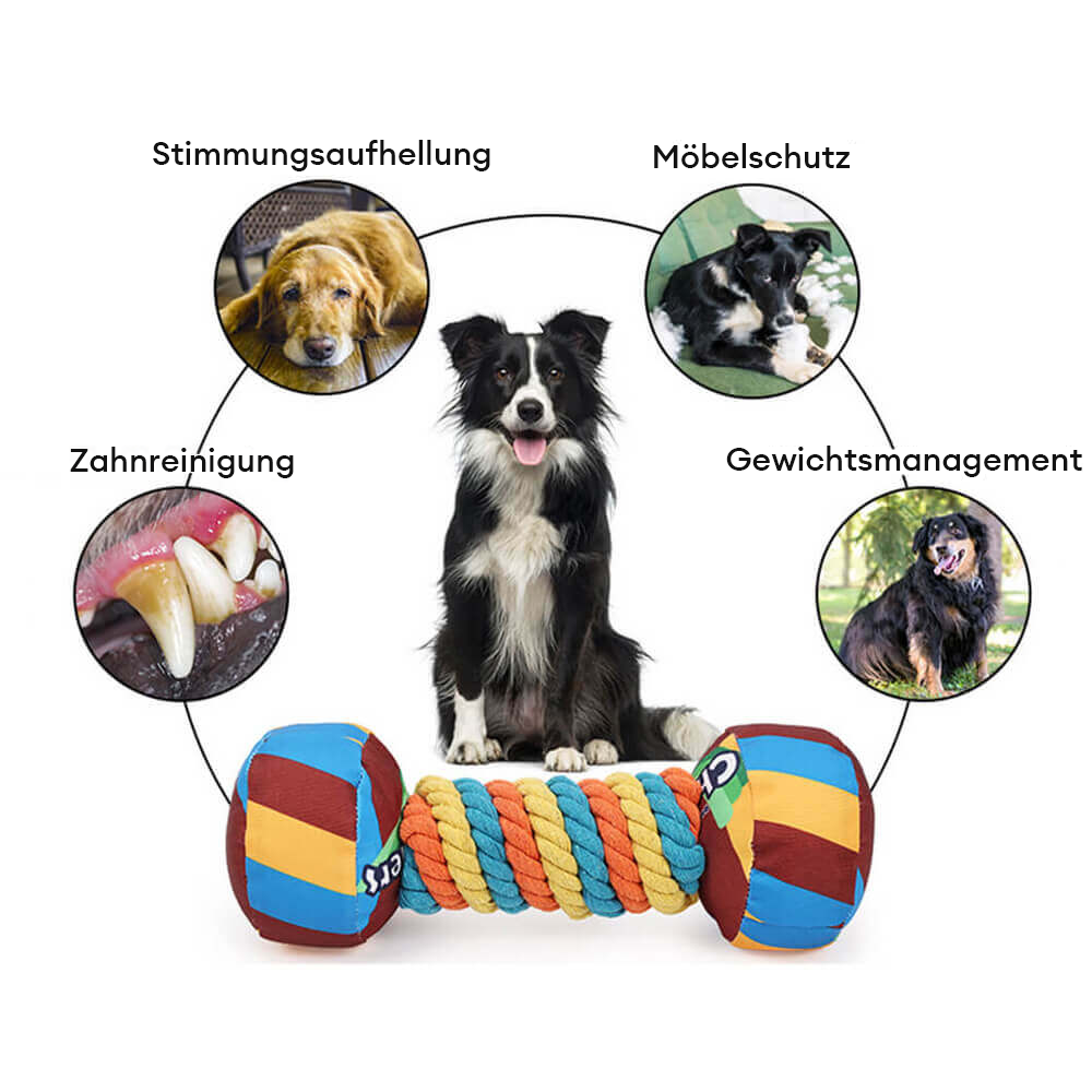 Interaktives Hundespielzeug mit Quietschender Langlebiger Hantel aus Seil in Regenbogenfarben
