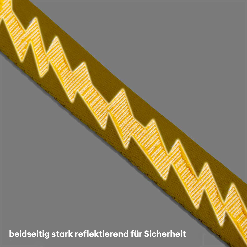 Beidseitig Reflektierende Verstellbare Vielseitige Nylonleinen mit weichem Griff für große Hunde - Flexi Walker