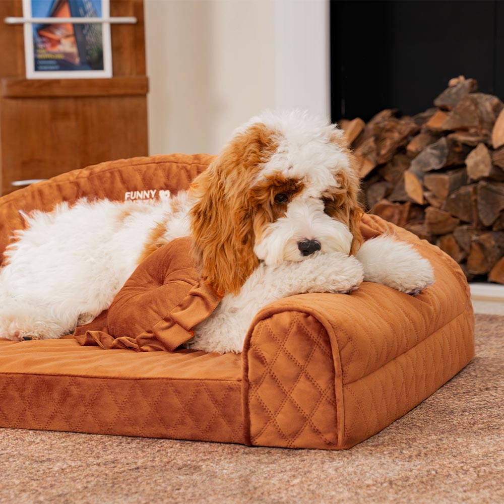 Rosa Gemütliches Hundesofa mit Nackenrolle - Prinzessin Lord