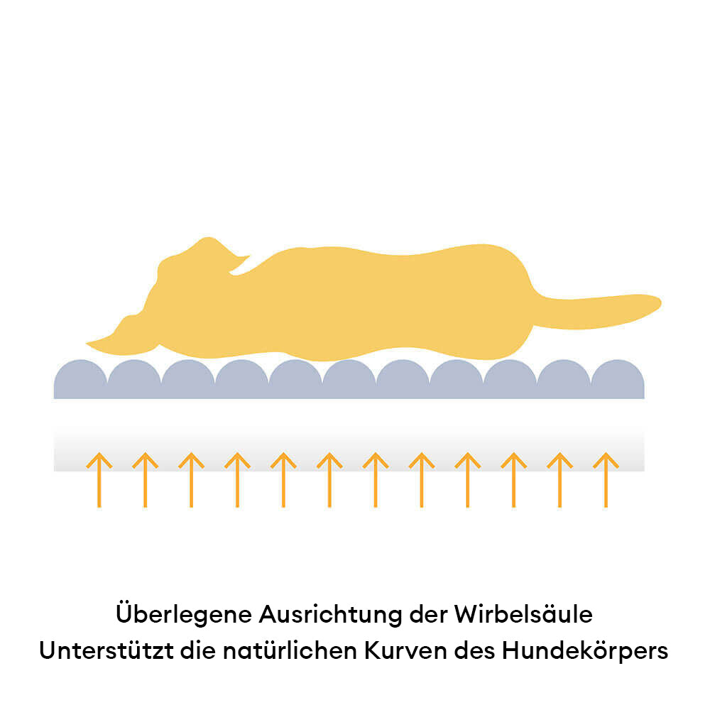 Große Waschbare Cremefarbene Gemütliche Flache Hundebetten - Käsekuchen