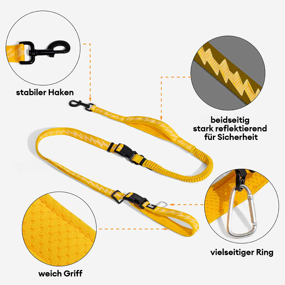 Beidseitig Reflektierende Verstellbare Vielseitige Nylonleinen mit weichem Griff für große Hunde - Flexi Walker