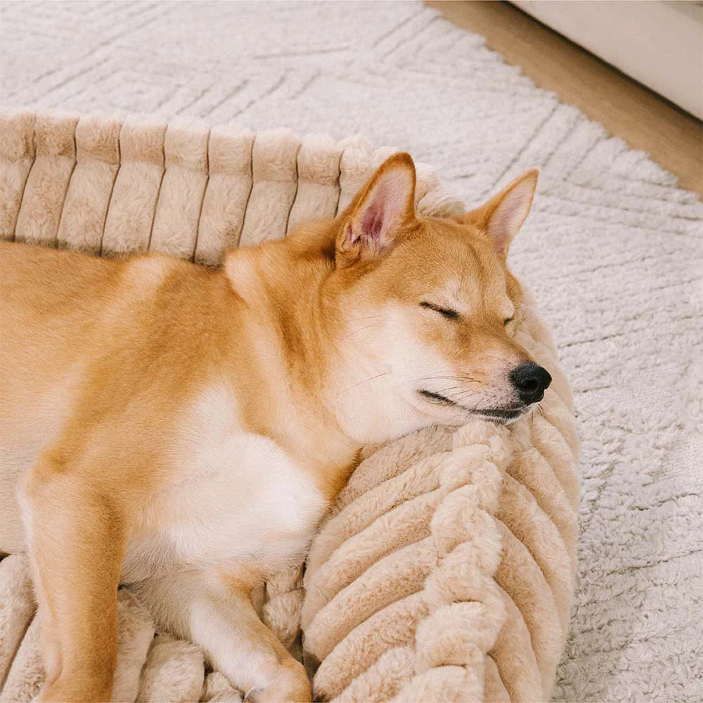 Warmes Plüsch abnehmbares orthopädisches Keil-Kissen Hundesofa-Bett - CozySlope