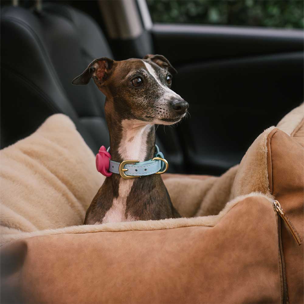 Großer Flauschiger Warmer Sicherer Rutschfester Hundesitz-Sitzerhöhungswagen – Ride and Rover