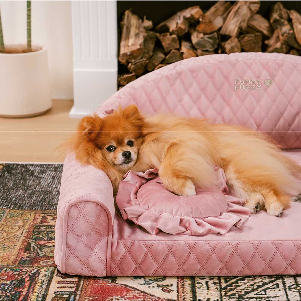 Rosa Gemütliches Hundesofa mit Nackenrolle - Prinzessin Lord