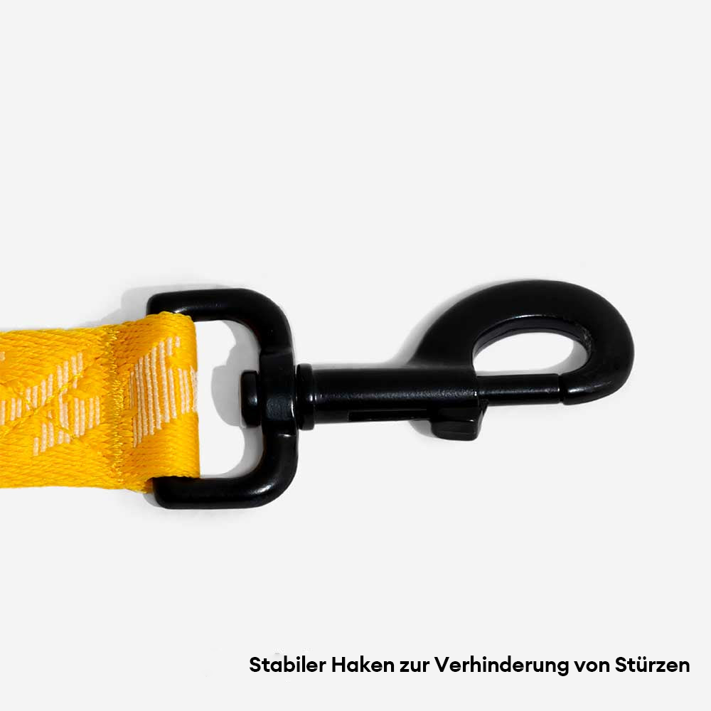 Beidseitig Reflektierende Verstellbare Vielseitige Nylonleinen mit weichem Griff für große Hunde - Flexi Walker