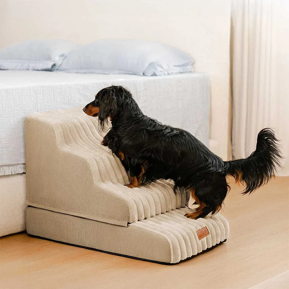2-in-1 Flauschleiter und Bett für Haustiere – CreamyRamp
