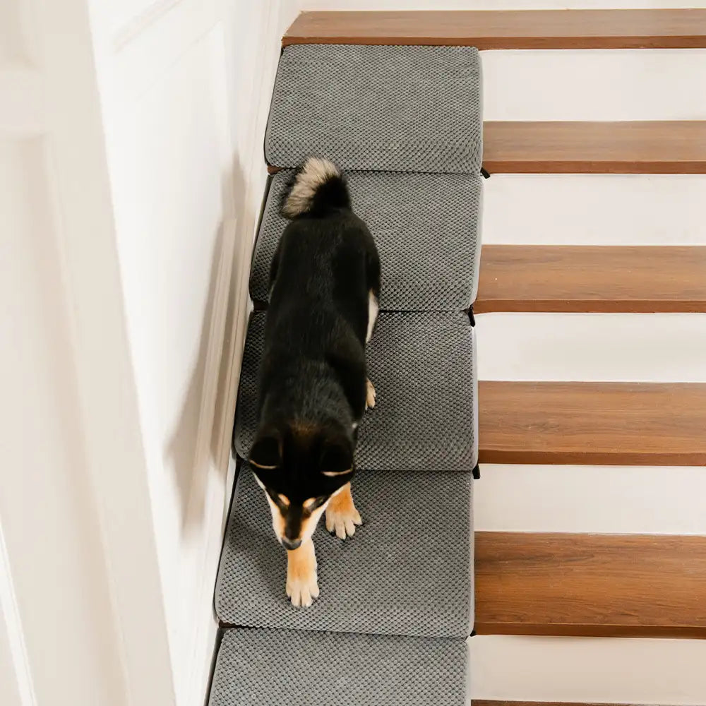 Modulare Schaumstoff-Hundetreppe für Treppen mit Klettverschluss