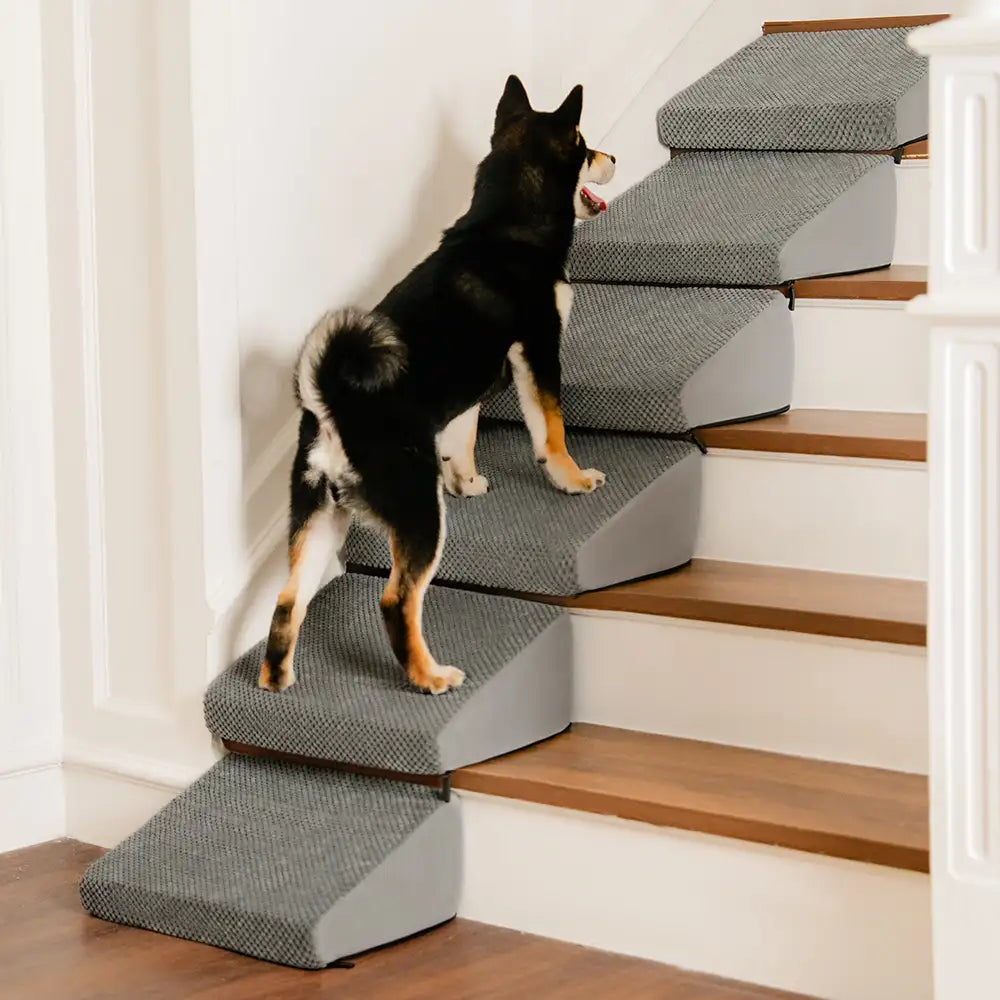 Modulare Schaumstoff-Hundetreppe für Treppen mit Klettverschluss
