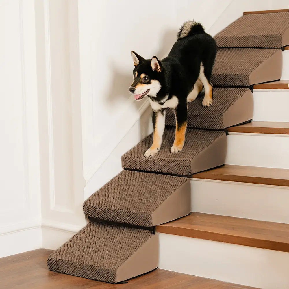 Modulare Schaumstoff-Hundetreppe für Treppen mit Klettverschluss