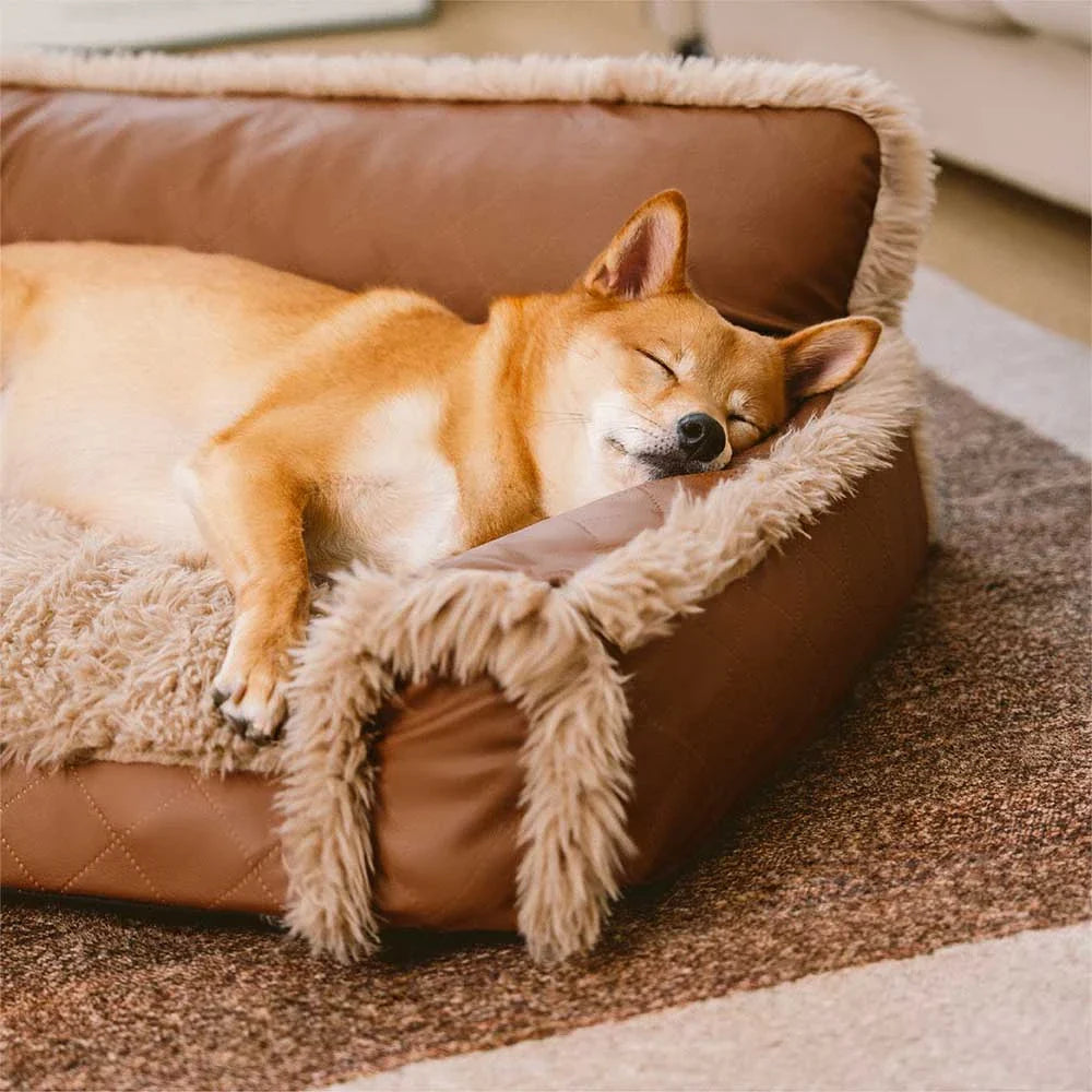 Orthopädisches Hundebett Luxe Kunstleder & Plüsch – Abnehmbarer Schwamm, Warm & Komfortabel