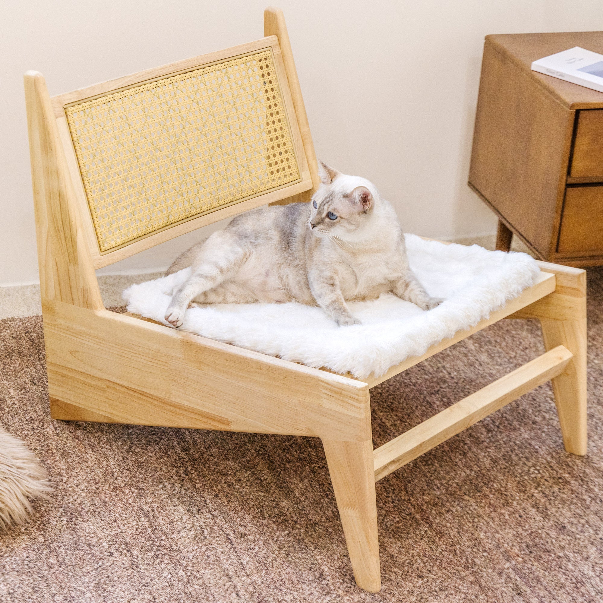 Fluffy Plüsch Kunstpelz Warme Haustiermatte Rutschfeste Couchdecke