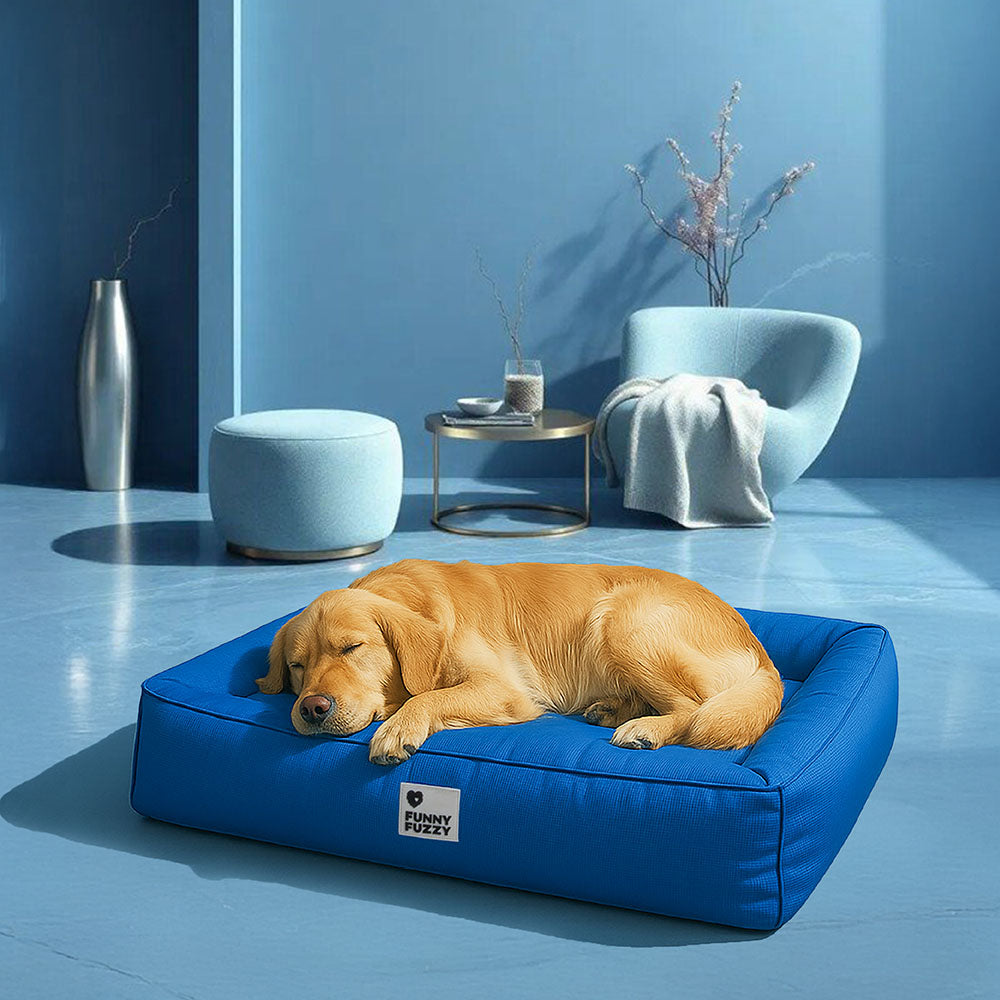 Vollständig orthopädische Umgebungsunterstützung wasserdichtes großes Hundebett - Haustierfreundliches Schlafzimmer
