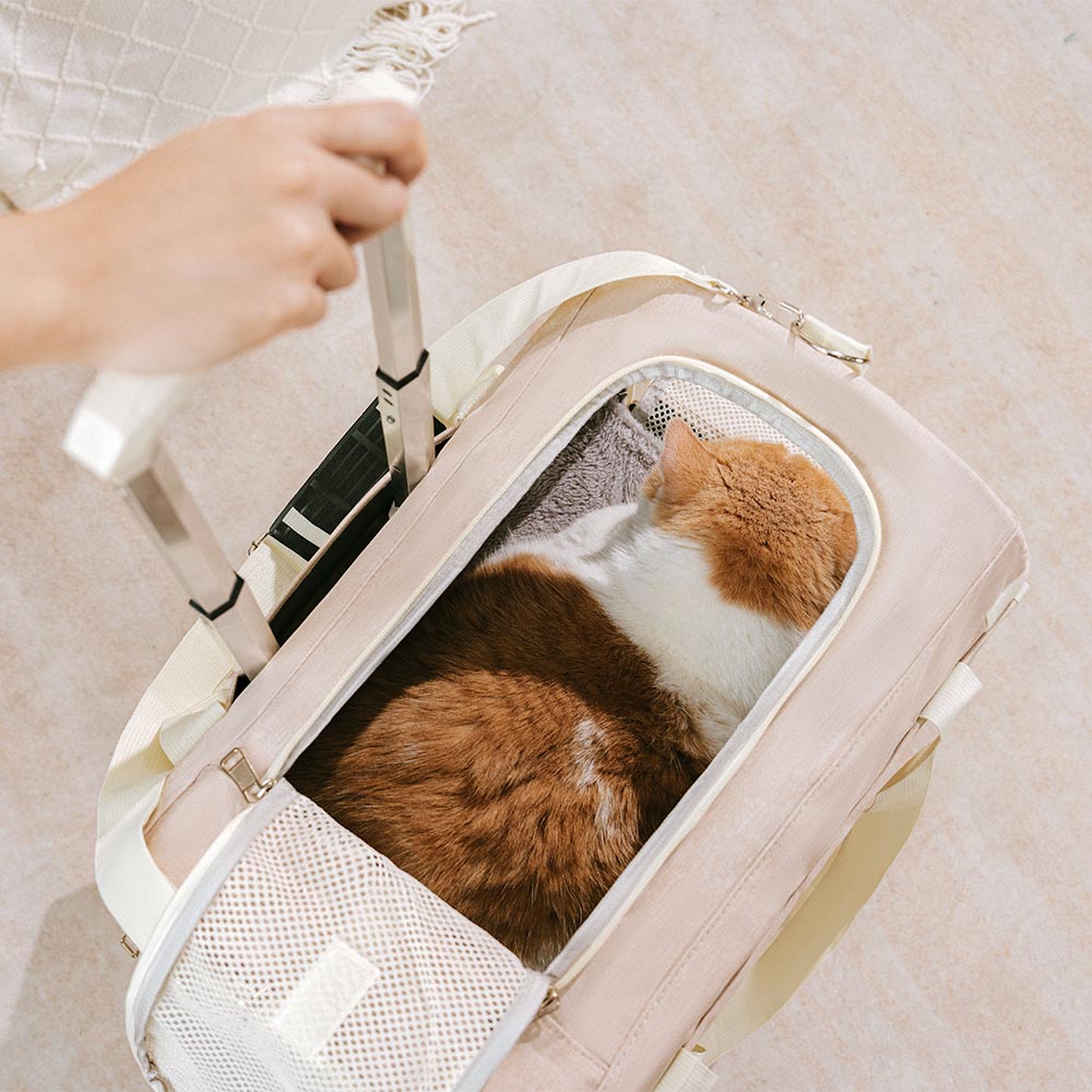 Doppel-Layer Geräumige Mehrkatzen-Reise-Tiertransporttasche mit Rollen