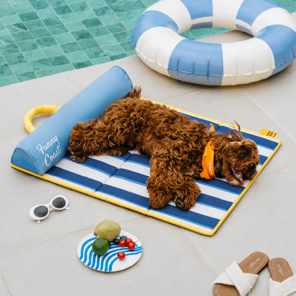 Kühlmatte Hund Atmungsaktive Kühlmatte für Hunde Faltbar Chill Nest