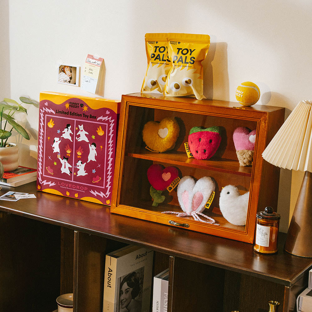 FUNNYFUZZY Spielzeugkiste in limitierter Auflage