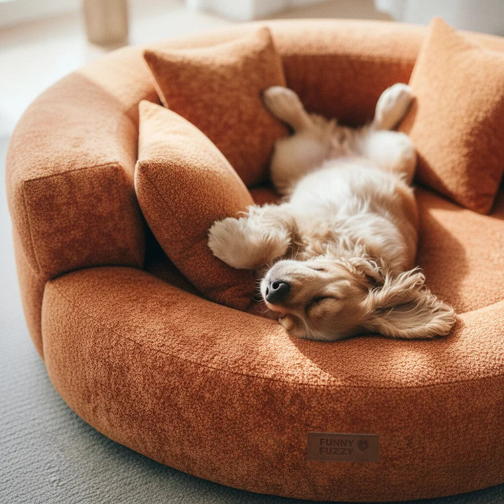Luxe Diamond Velvet Abnehmbares Orthopädisches Donut-Hundebett mit Kissen - DreamNest