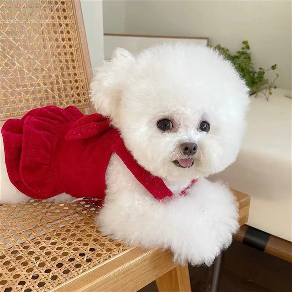 Samtrotte Hundekleid – Perfekt für besondere Anlässe!