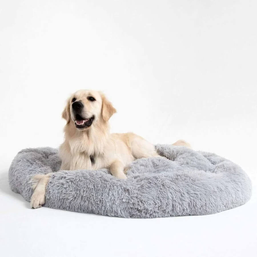 Unscharfer Runder Flauschiger Hundebett