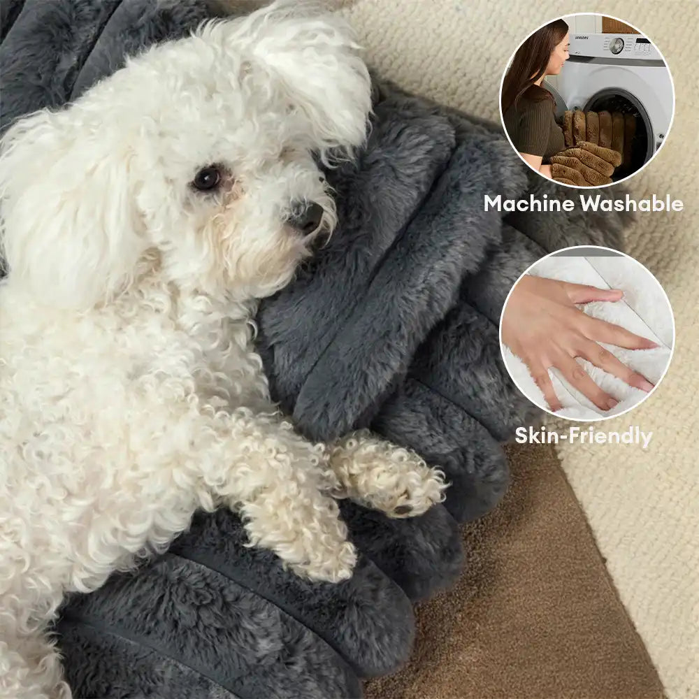 Plüschiges, flauschiges, dickes, beruhigendes Hundebett mit Kissen