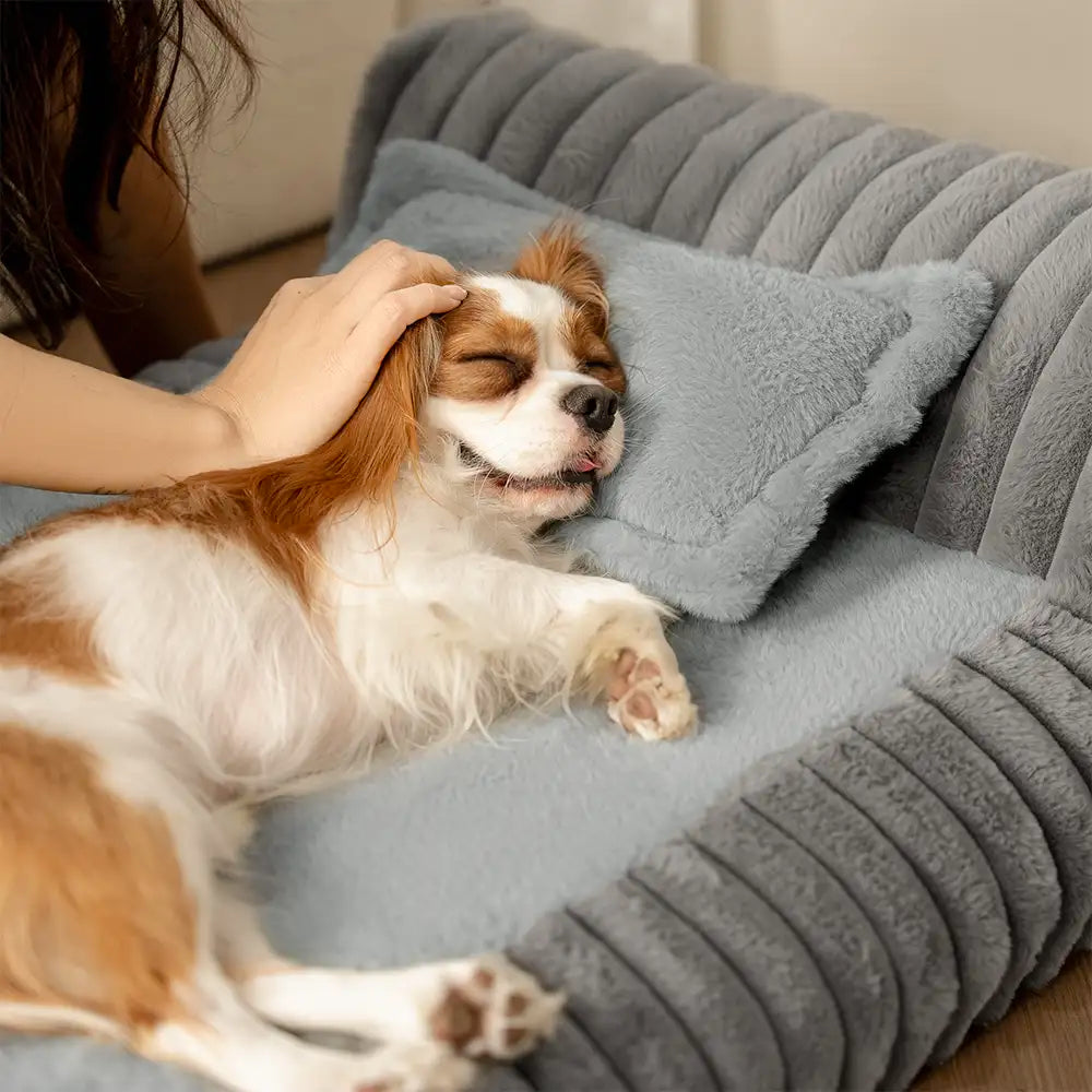 Mini-Plüsch-Hausstil Rückenstütze Orthopädisches Bett für kleine Hunde - TinyNest