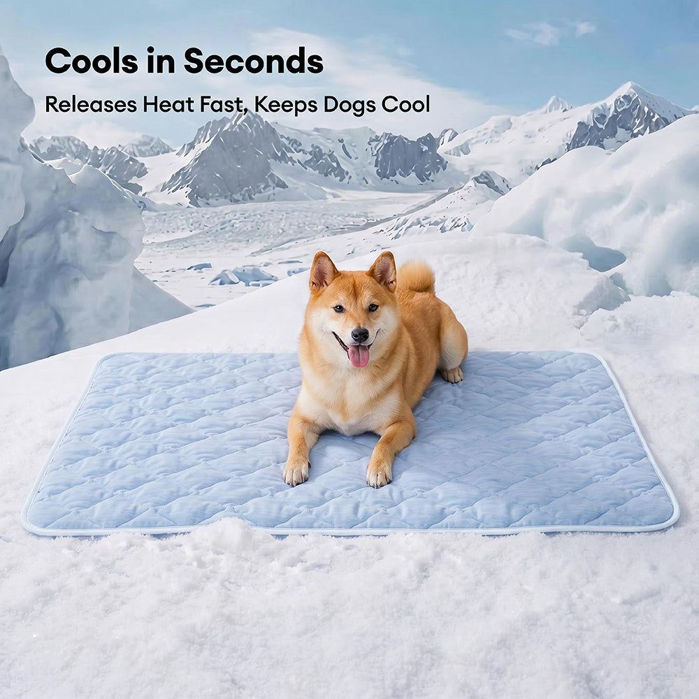 Doppelseitige Kühldogendecke - Chill Nest