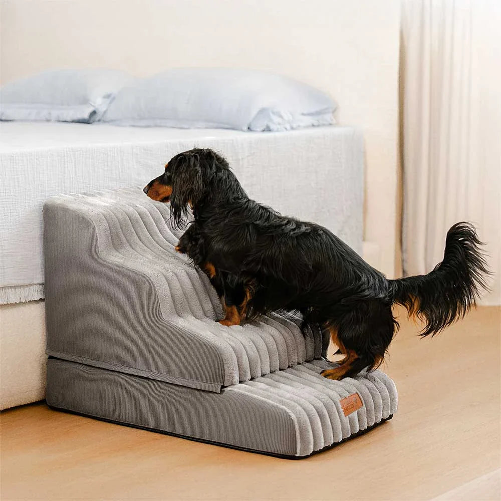 2-in-1 Flauschleiter und Bett für Haustiere – CreamyRamp