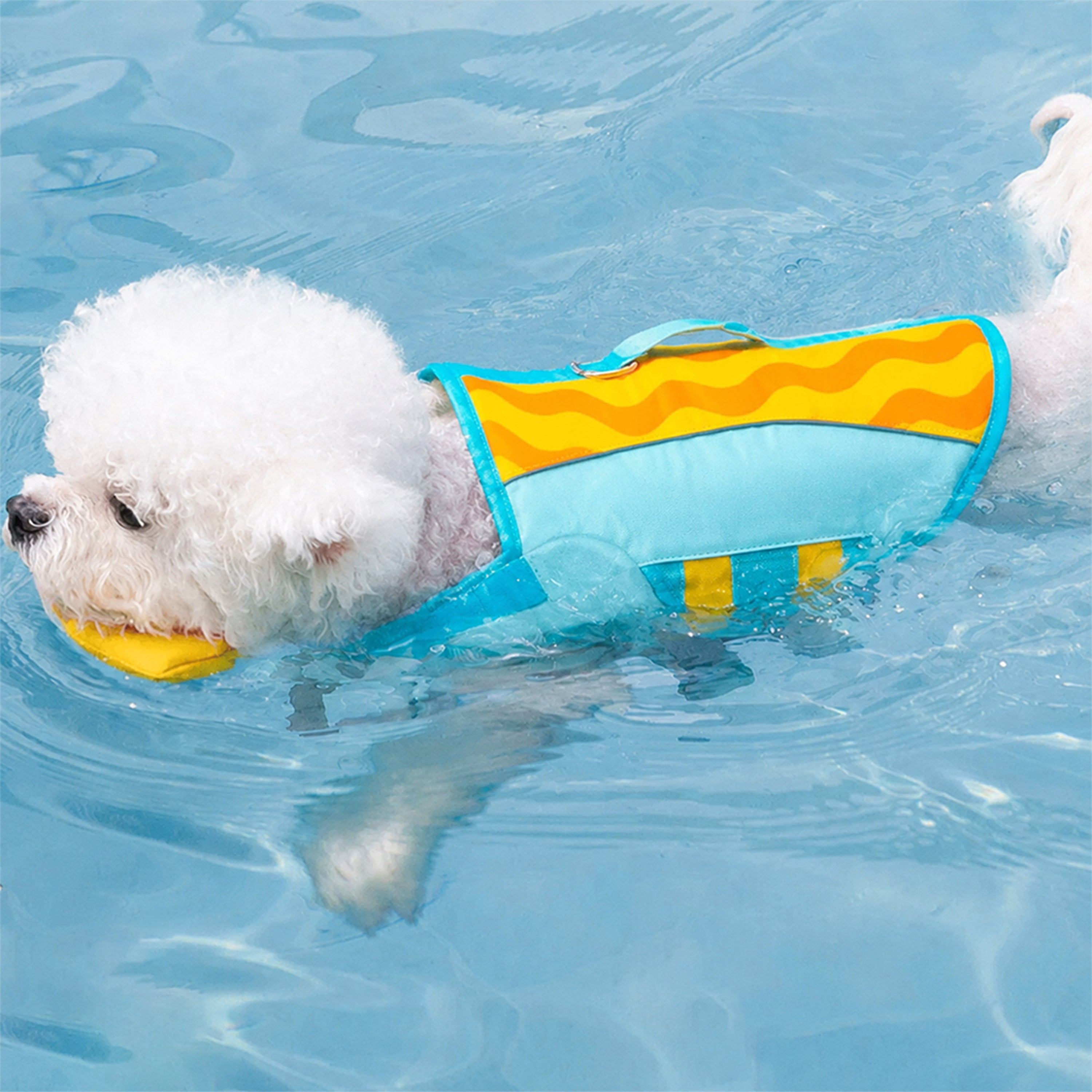 Stilvolle, farblich abgesetzte Hundeschwimmweste
