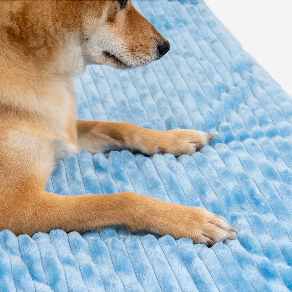 FUNNYFUZZY Gemütliches Orthopädisches Indoor-Spielzelt Hundezeltbett - Märchenhaftes Traumland
