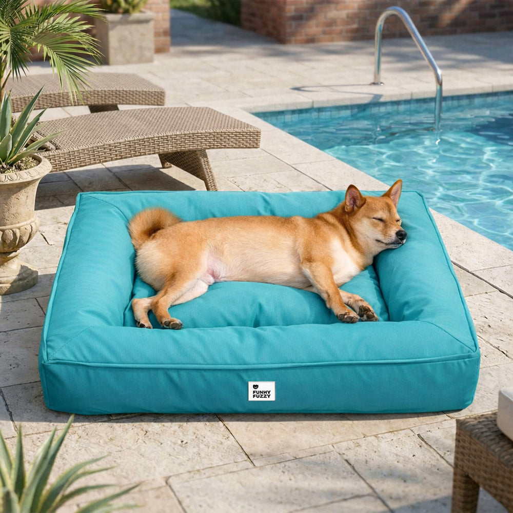Vollständig Orthopädisches Wasserabweisendes Hundebett mit Rundum-Unterstützung für Große Hunde