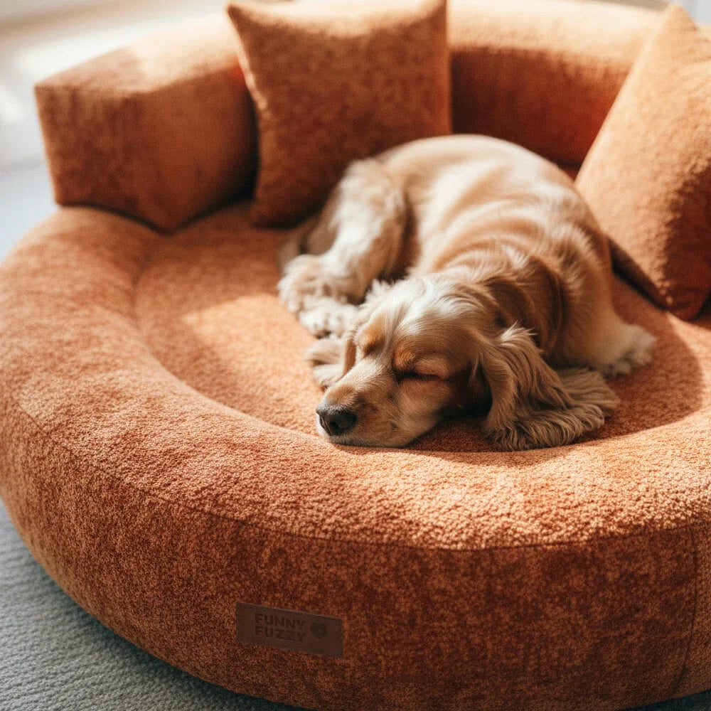 Luxe Diamond Velvet Abnehmbares Orthopädisches Donut-Hundebett mit Kissen - DreamNest