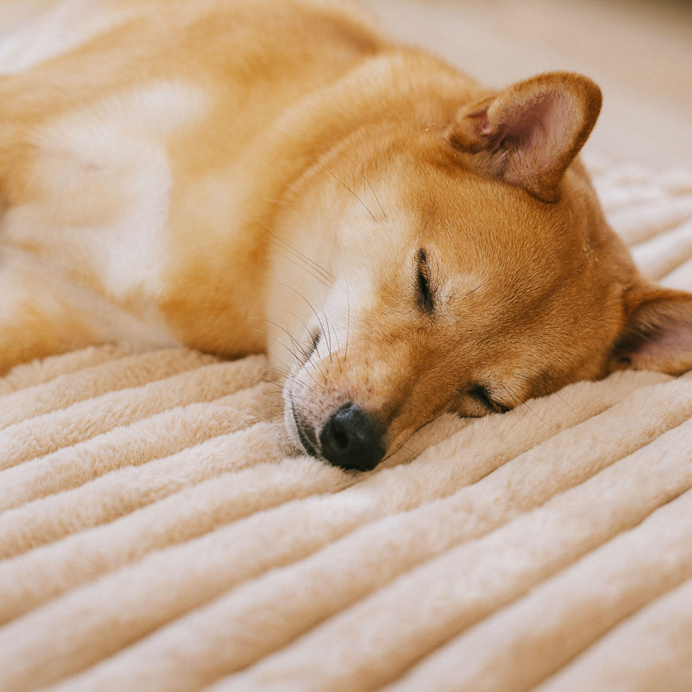 Fluffy Faux Rabbit Fur Waschbarer Warmer Tiermatte - ComfyEase