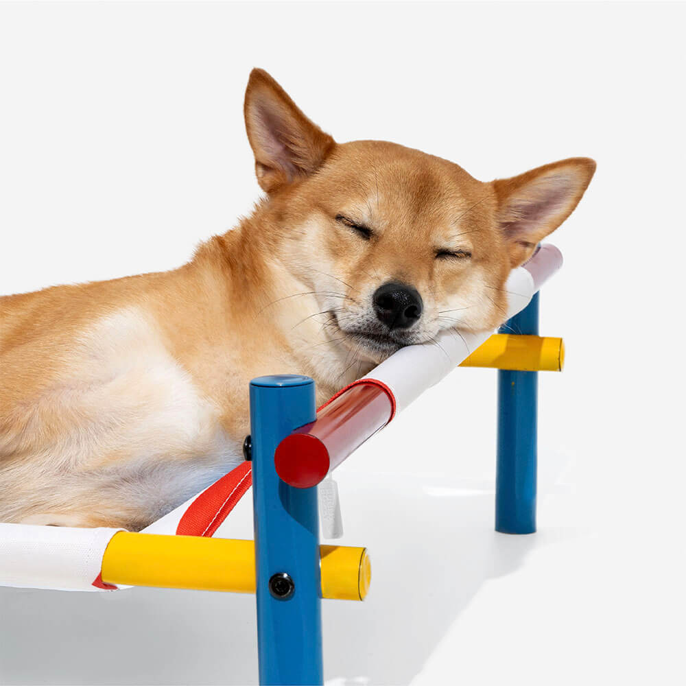 Erhöhtes Hundebett aus Aluminium im lebhaften Sommerdruck-Stil - Summer Paradise