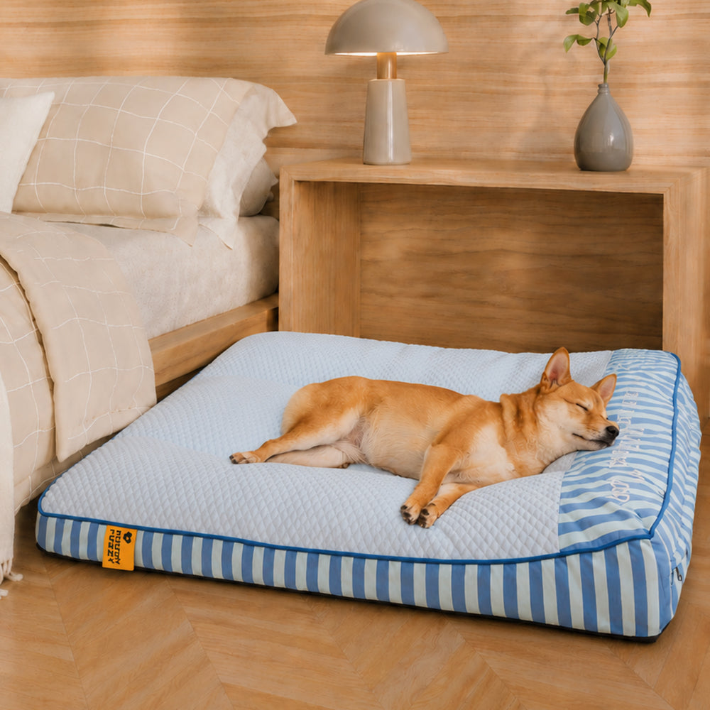 Extra großes kühlendes waschbares rechteckiges orthopädisches Hundebett - haustierfreundliches Schlafzimmer
