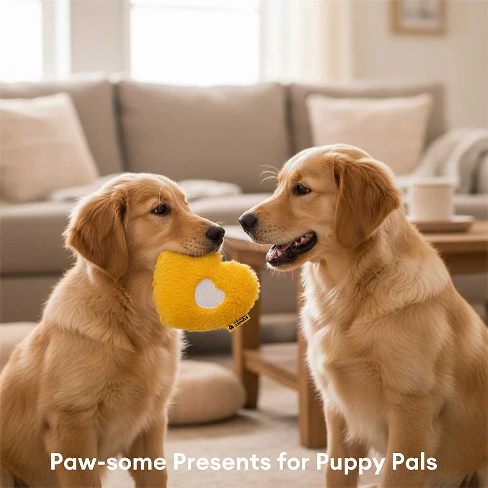 FUNNYFUZZY Spielzeugkiste in limitierter Auflage