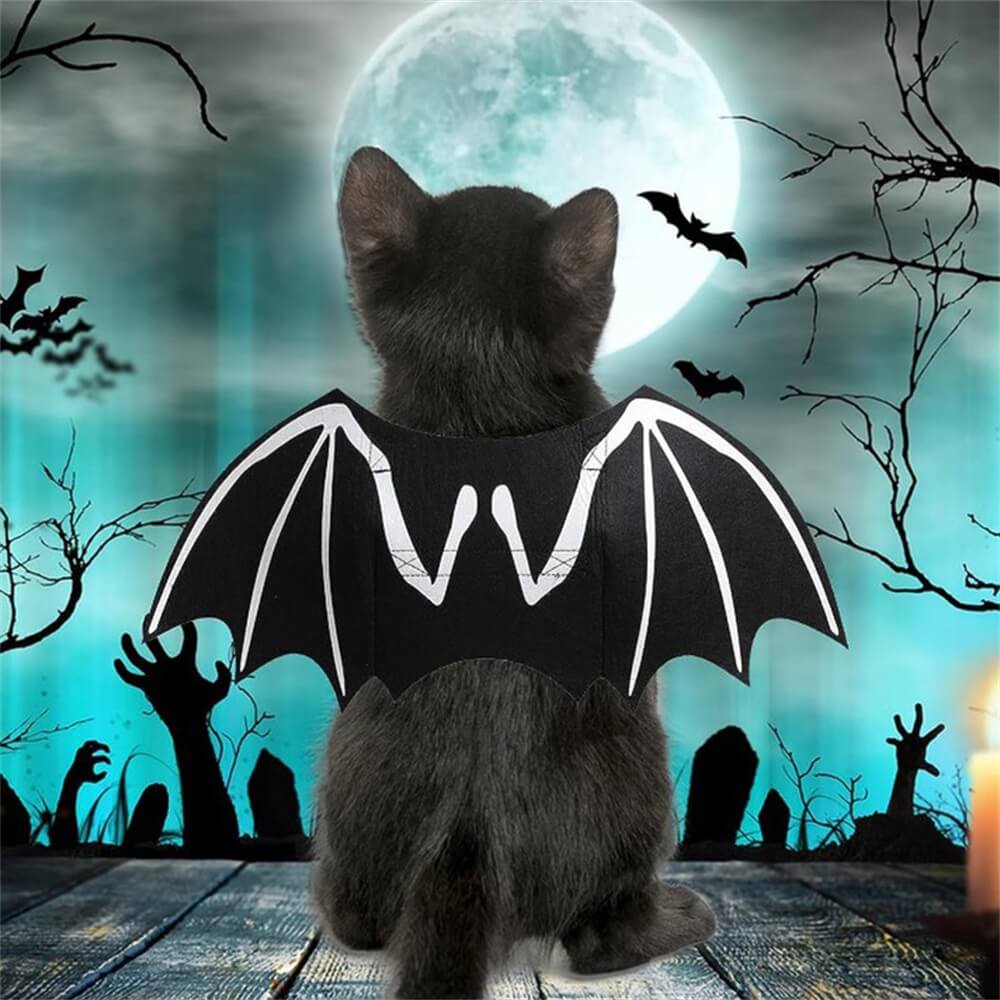 Leuchtendes Totenkopf-Fledermausflügel-Halloweenkostüm für Hunde | Requisiten für Rollenspiele mit Haustieren