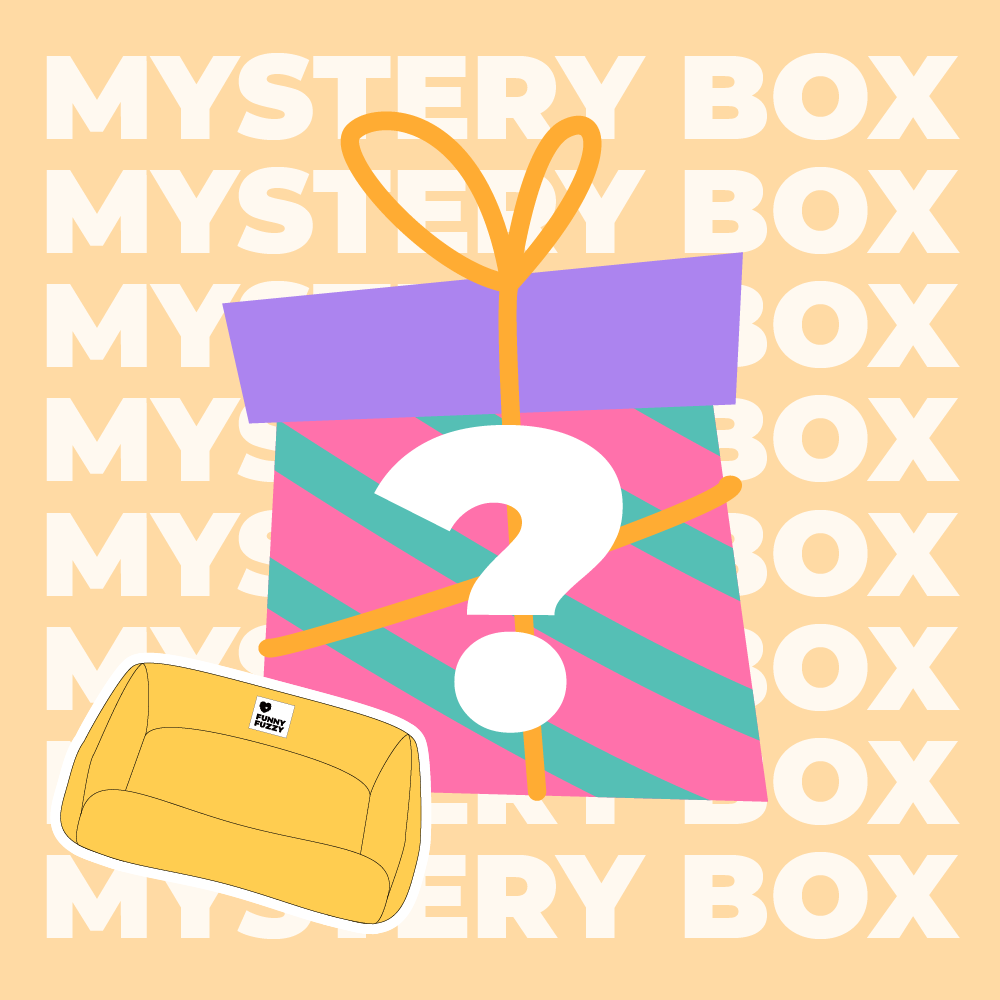 Mystery Box - Premium Hundebett - Zufällig - 1 Stück
