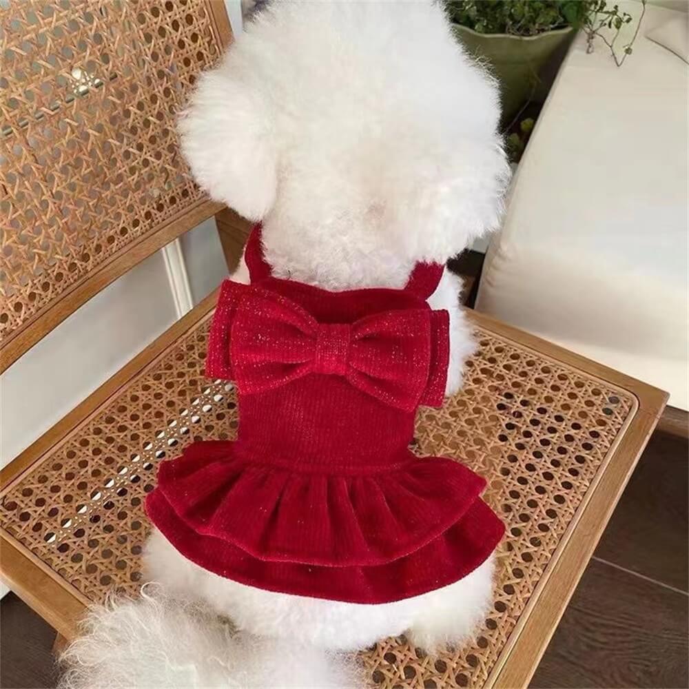 Samtrotte Hundekleid – Perfekt für besondere Anlässe!