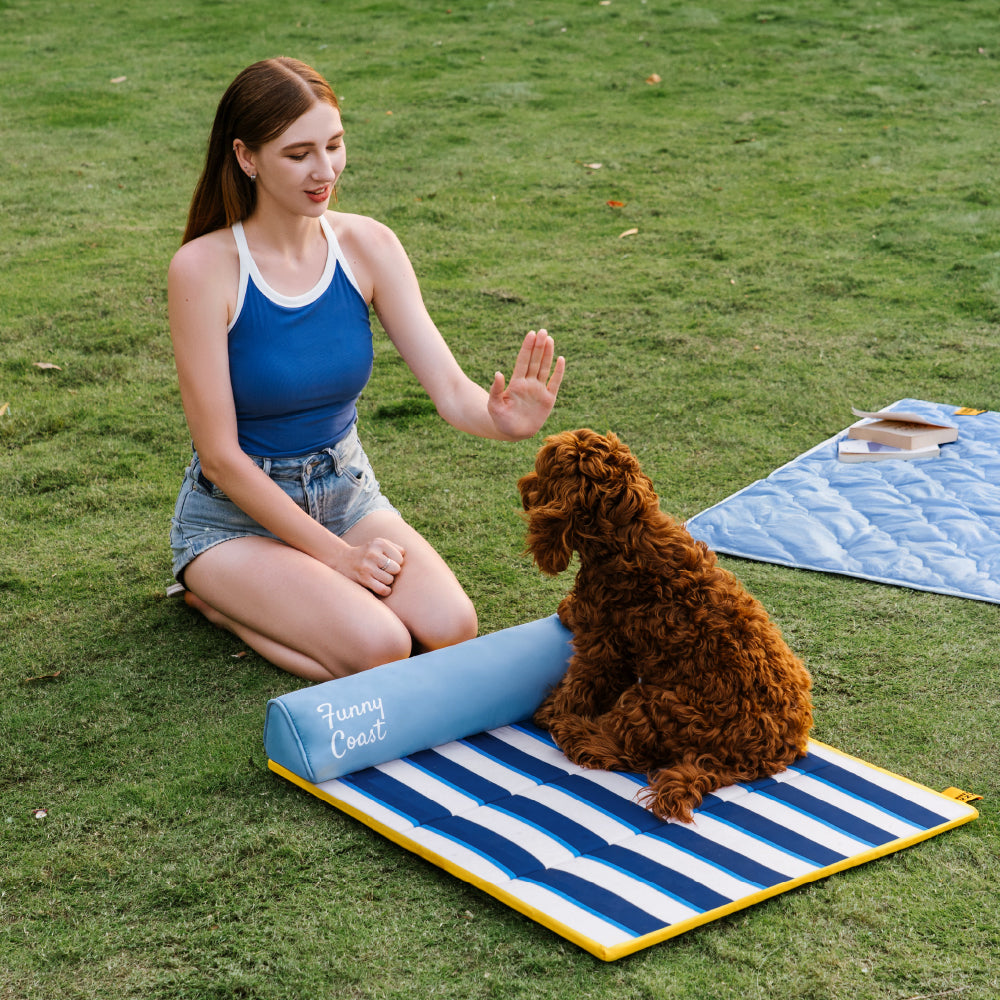 Kühlmatte Hund Atmungsaktive Kühlmatte für Hunde Faltbar Chill Nest