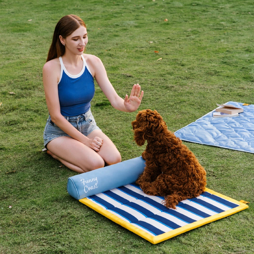 Kühlmatte Hund Atmungsaktive Kühlmatte für Hunde Faltbar Chill Nest