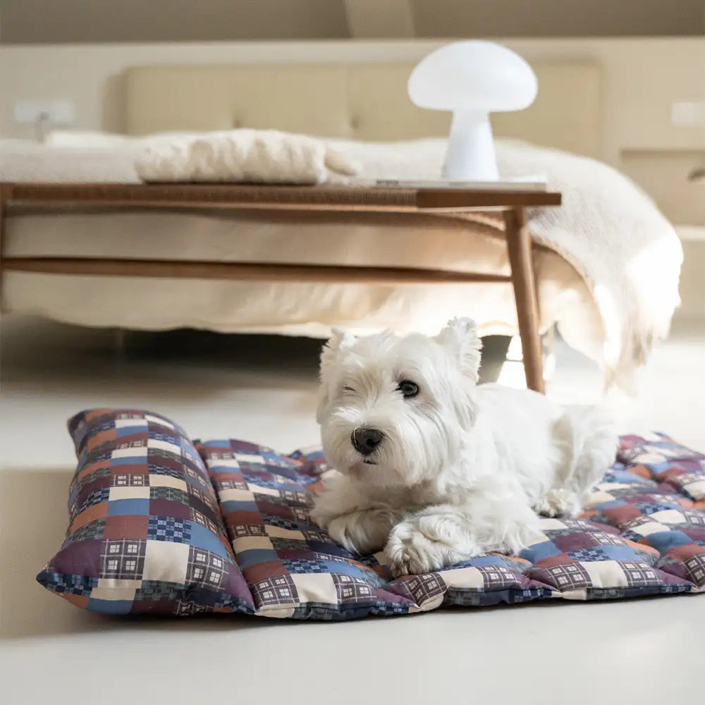 Ganzjahres-atmungsaktives doppelseitiges Nackenstützkissen Hundebett