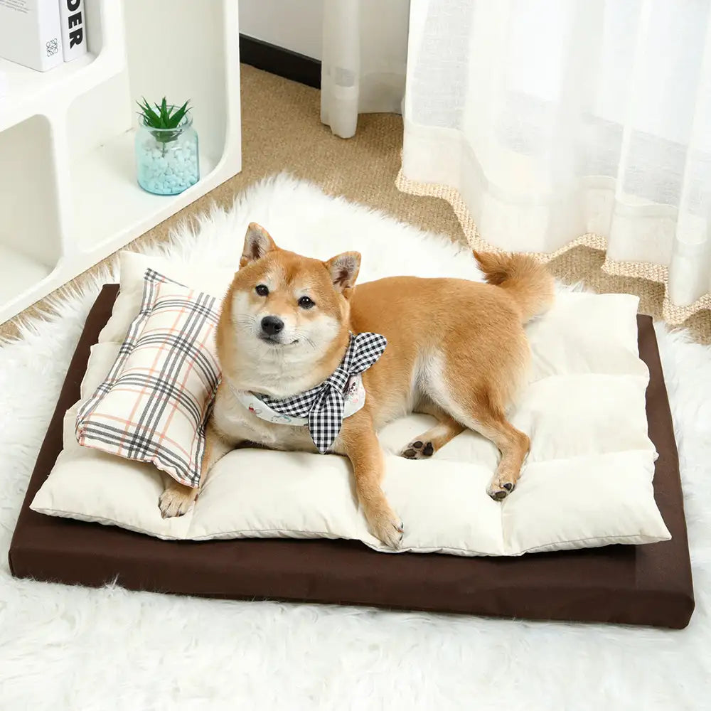 All-in-One Multifunktionales wasserabweisendes Komfort-Hundebett mit Kissen